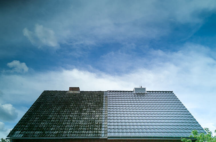 Roofing Company